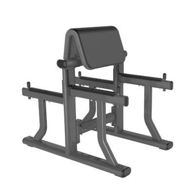 VIVA FITNESS BEAST 33 STANDING PREACHER CURL 