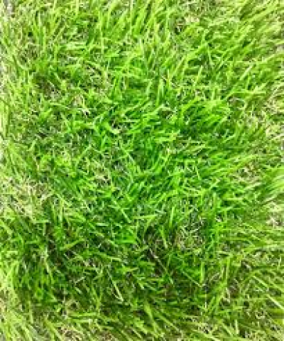ARTIFICIAL GRASS 40 MM HIGH DENSITY - IMPORTED