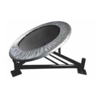 Medicine Ball Rebounder