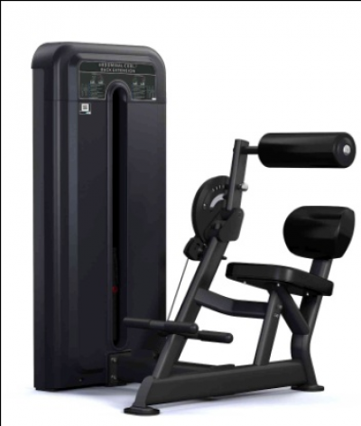 VIVA FITNESS 595H PULSE FITNESS-ABDOMINAL/BACK EXT.