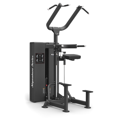 PC 2104 CHIN DIP ASSIST 170 LBS