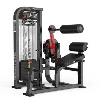 BR 33 BACK EXTENSION / ABDOMINAL