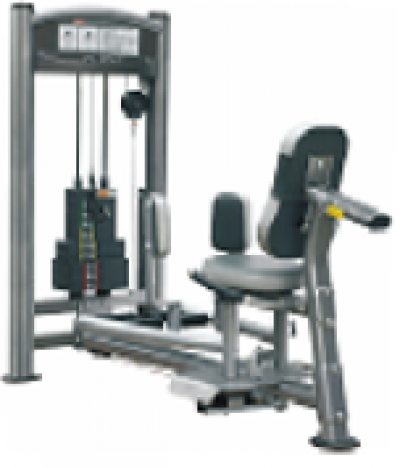 ABDUCTOR & ADDUCTOR IT9308