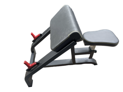 PREACHER CURL BENCH  BODYLINE BEFIT