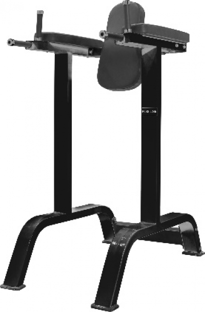 FL6010 Vertical Knee Raise / Dip Stand