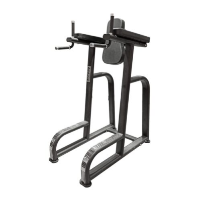 BEAST 39 VERTICAL KNEE RAISE / DIP STAND