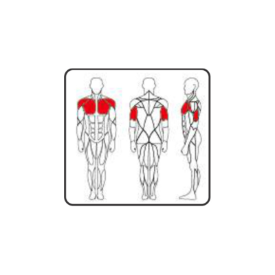 PC 2201 SEATED CHEST PRESS 190 LBS