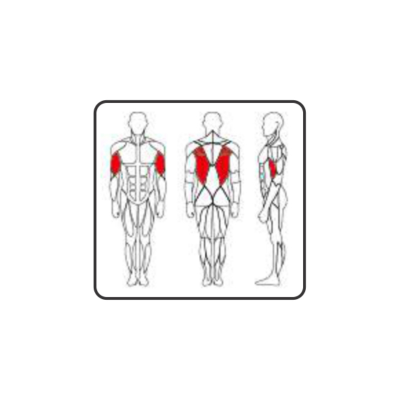 PC2222 Lateral Raise