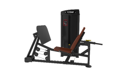 SS-16 IMPORTED SEATED LEG PRESS
