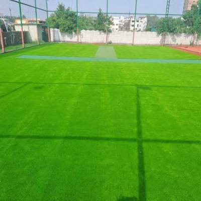 MAVERICK CRICKET TURF / PITCH 