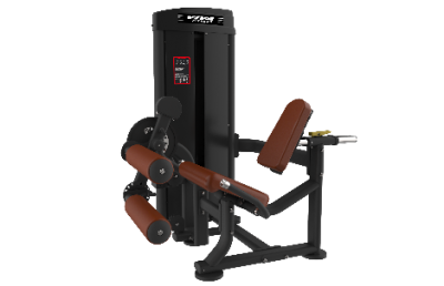 SS-15 IMPORTED SEATED LEG CURL / LEG EXTENSION