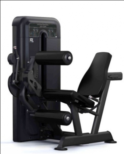 VIVA FITNESS 555H PULSE FITNESS-LEG EXTENSION / CURL