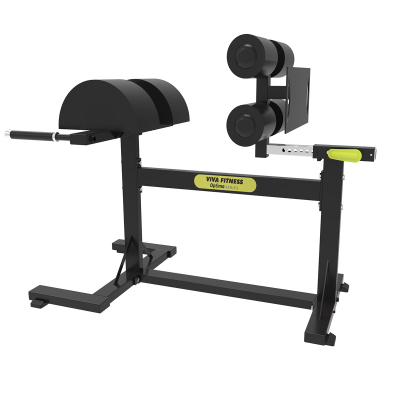 DFT-640 Glute Ham Developer (GHD)