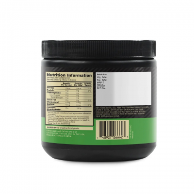 Glutamine Powder (ON Optimum Nutrition)