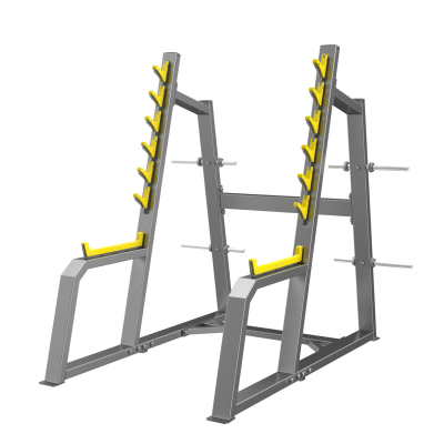 E3050 Squat Rack