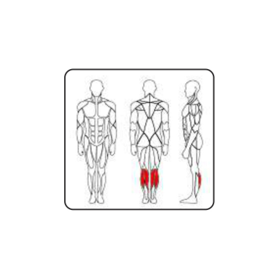 PC 2110 DEEP SQUAT / STANDING CALF EXT 220 LBS