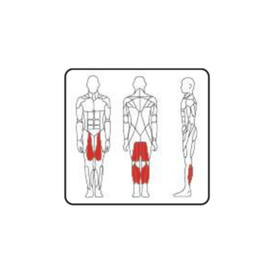 PC 2218 PRONE LEG CURL 150 LBS