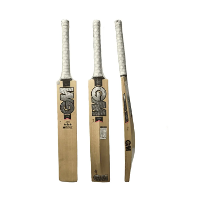 cricket bat