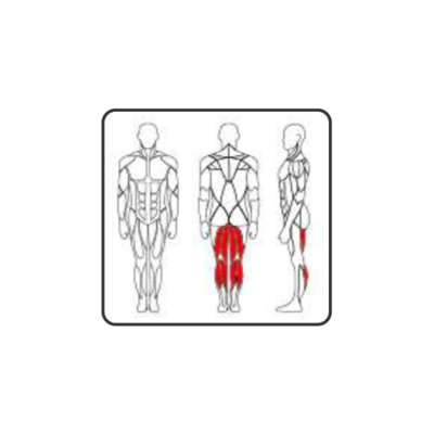 PC 2206 SEATED LEG CURL 230 LBS