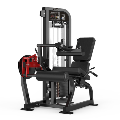 BR 14 SEATED LEG CURL