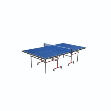 COUGAR SPORTS T T TABLE PLAY MODEL WITH COVER