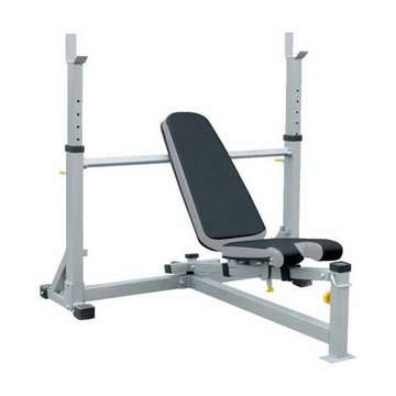 Imported Olympic Bench  Life Sports  If Ob