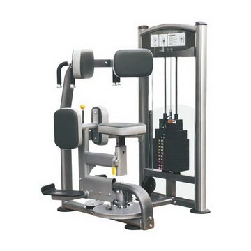 Commercial Torso Rotation It 9318 Viva Fitness Usa         