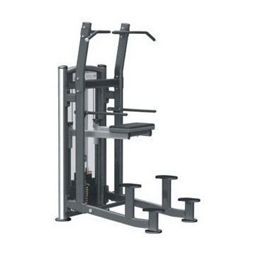 Commercial Chin/Dip Combo It 9320 Viva Fitness Usa  