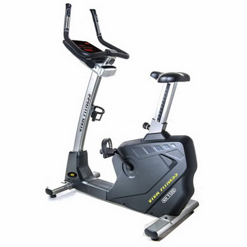 KH 1120 Commercial Upright Bike