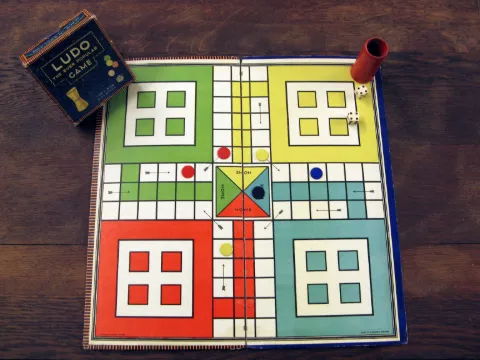 LUDO / SNAKES LADDER GAME