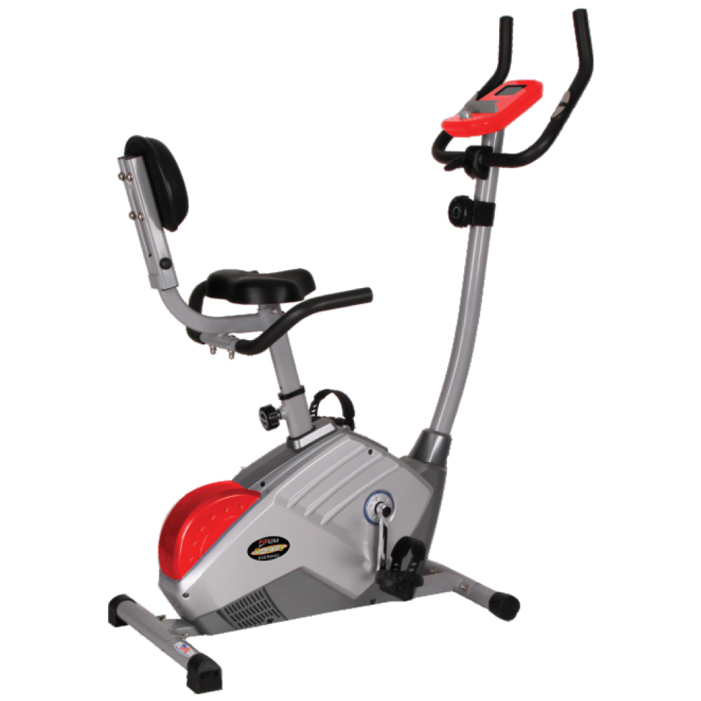 Fitking Spin Bike, S 900 at best price in Ahmedabad