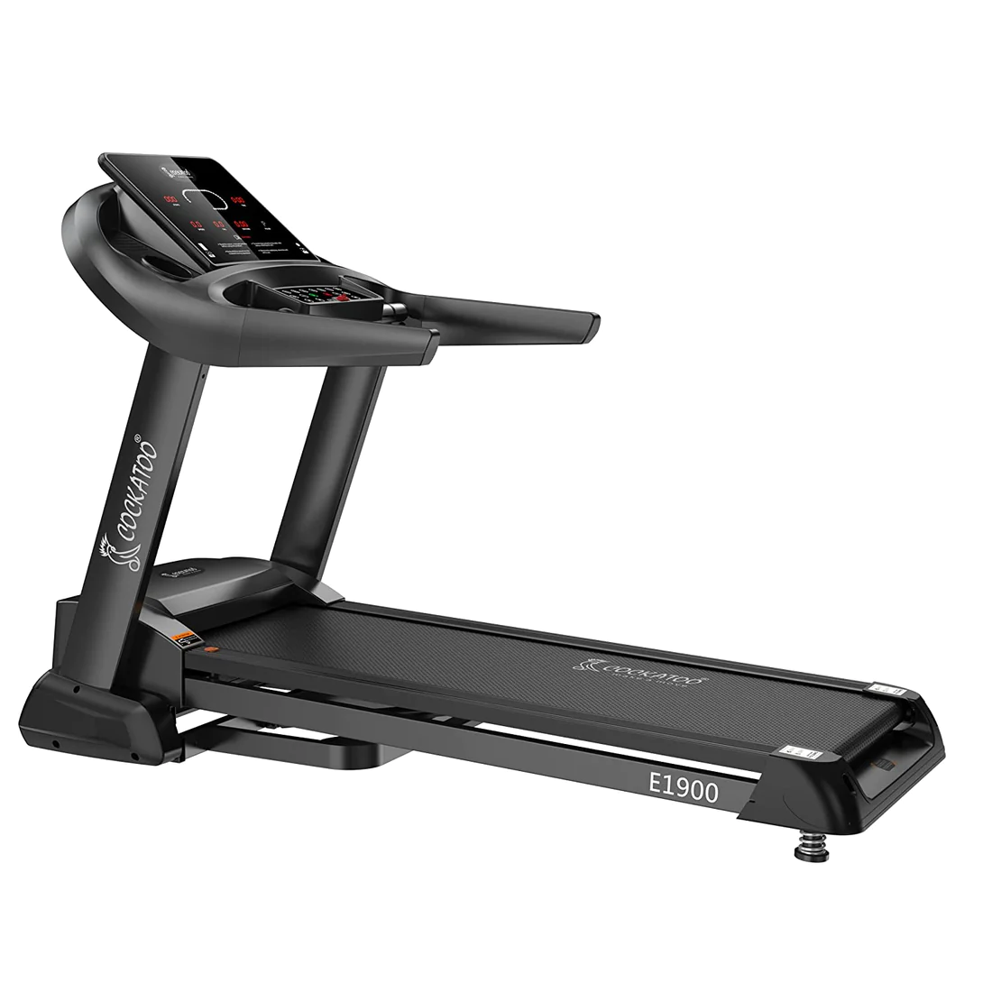 Treadmill cockatoo sales