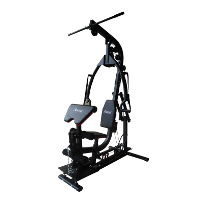 GYMTRAC 4500 HOME MULTI GYM (FREE WEIGHT)