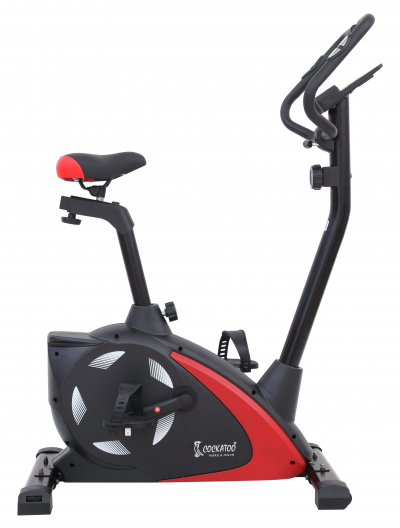 COCKATOO UPRIGHT BIKE CUB 101