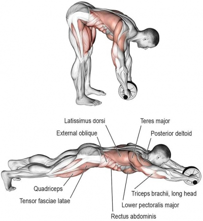AB WHEEL EXERCISER