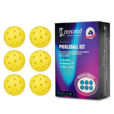 PICKLE BALL (SET OF 6)