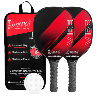 PICKLEBALL PADDLE SET VIBE