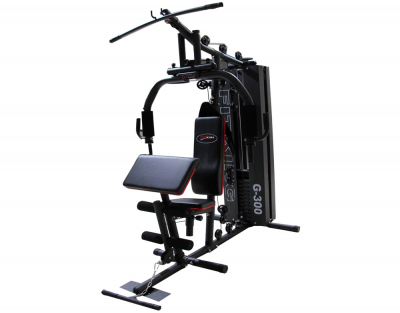 FITKING G 300 MULTI FUNCTION HOME GYM WITH ARM CURL