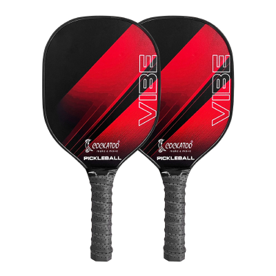 PICKLEBALL PADDLE SET VIBE