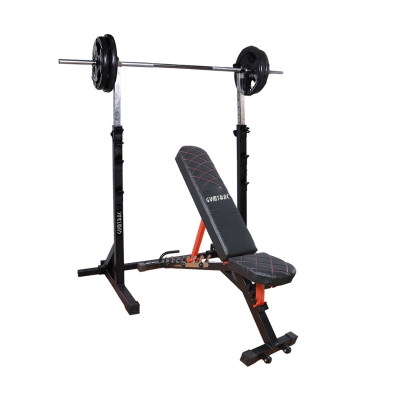 GYMTRAC WB 2311 ADJUSTABLE BENCH GT WITH SQUAT STAND COMBO