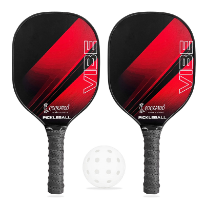 PICKLEBALL PADDLE SET VIBE