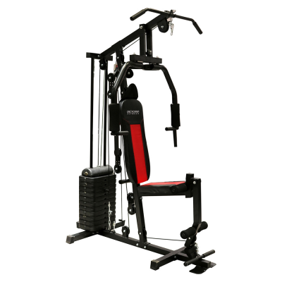 CALIFORNIA FITNESS HG 100 HOME GYM