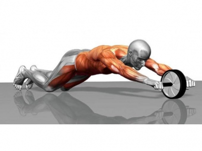 DOUBLE EXERCISE WHEEL VX 802