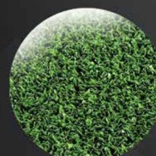 Cricket Turf / Pitch - 9.5 mm