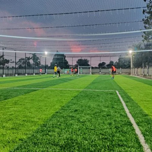Sports Turf